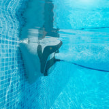 רובוט לניקוי בריכה Dolphin Easy Comfort